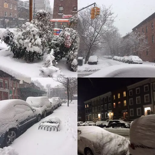 NYC Greens Plaza Deli